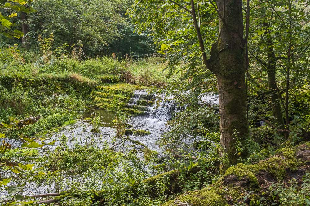 River Lathkill River Lathkill